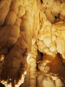 Grotte di Toirano 